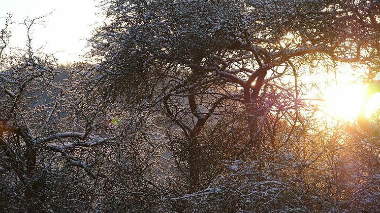 Und noch mal Morgensonne: in Zeil