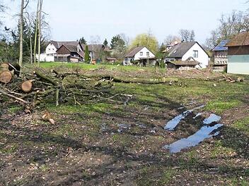 Einen ersten Schritt zur Verwirklichung des Integralen Hochwasserschutzkonzepts hat die Gemeinde Neuenmarkt mit dem Erwerb des Grundst&uuml;cks oberhalb des Garagentraktes des BRK schon gemacht. Dort soll ein Regenr&uuml;ckhaltebecken entstehen. Foto: Werner Rei&szlig;aus