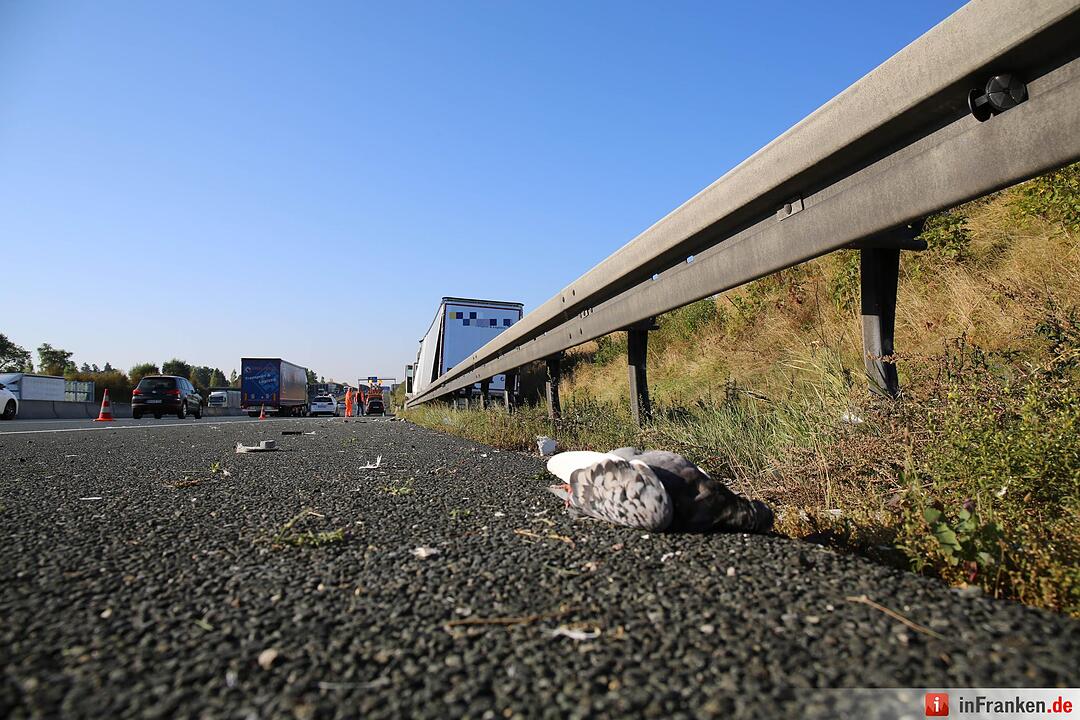 Lkw kracht auf A9 bei Bayreuth ungebremst gegen Lärmschutzwand