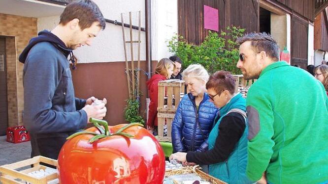 Dass sich beim Grundfelder Backofenfest auch viel um die Tomate drehte, war bei diesem riesigen Exemplar aus Kunststoff nicht zu übersehen. Innerhalb von eineinhalb Stunden fanden 800 Tomatenpflanzen ihre Abnehmer.