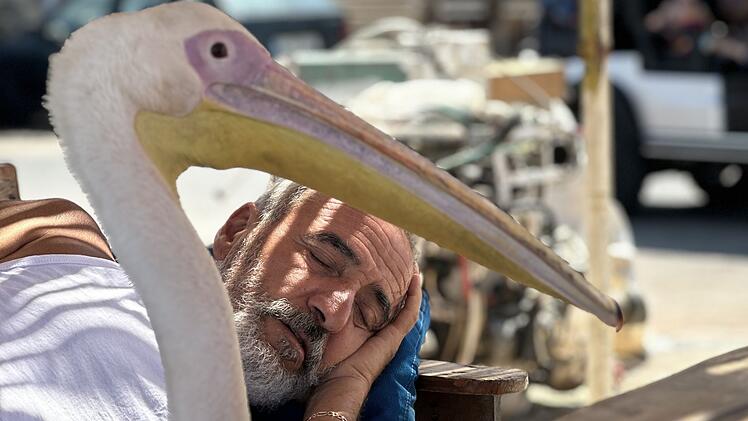Libanon: Pelikan-Dame &laquo;Pelikanchen&raquo;