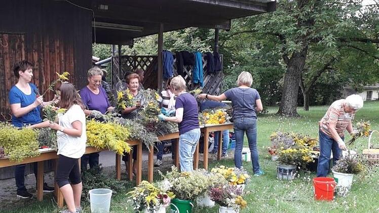 Das Kräuterbüschel-Binden und den Verkauf für einen guten Zweck hat sich der Euerdorfer Gartenbauverein zur Aufgabe gemacht.  Florian Probeck