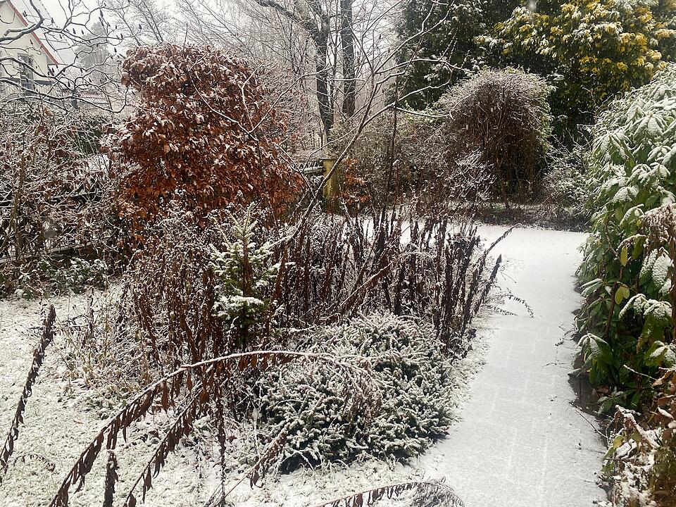 Schneegestöber und erste Schlittenfahrten: Winterliches Wetter in Mittelfranken