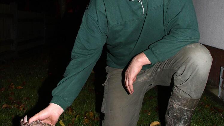 Dieter Pöhlmann zeigt eines der Rehe, das von einem oder zwei wildernden Hunden gerissen wurde. Ein Schlegel wurde völlig gefressen.