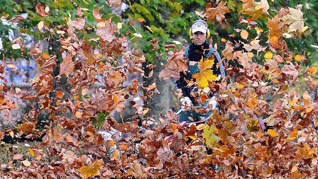 Laubbläser stören das ökologische Gleichgewicht.