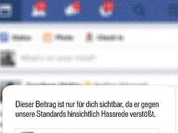 Quelle: meinungsfreiheit.steinhoefel.de/ Fotoretusche: Franziska Schäfer