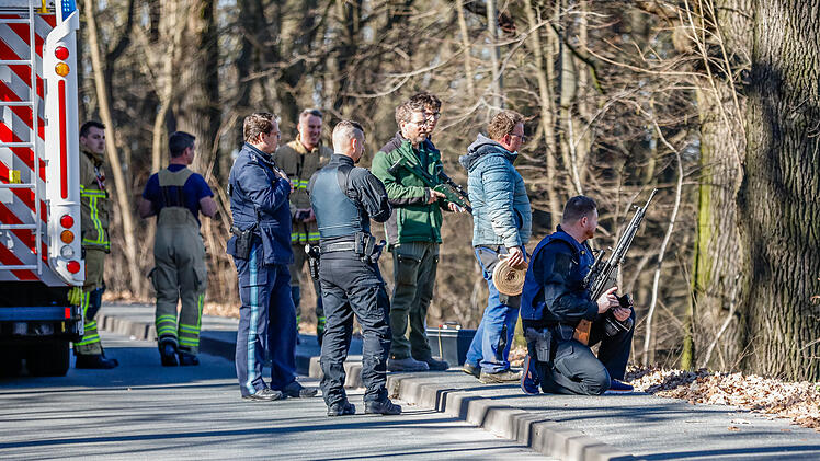 Fürth: Rind büxt aus und hält Polizei auf Trab - "Jagd" nimmt trauriges Ende