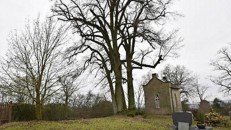 Der Platz um die mächtige Lindengruppe im Unfindener Friedhof ist geeignet für eine Anlage mit Urnenerdgräbern. Foto: Gerold Snater