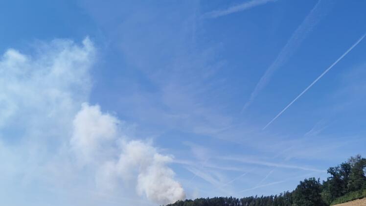 Waldbrand ruft Feuerwehr auf den Plan