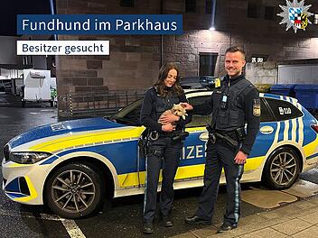 Tierheim Nürnberg findet Besitzer zu kleiner Fellnase aus Parkhaus