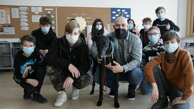 Alexander Kociper und die Schüler der 7b der Mittelschule Bad Brückenau lieben Charlie. Der Greyhound bringt Abwechslung, aber auch Ruhe in den Schulalltag.  Foto: Steffen Standke