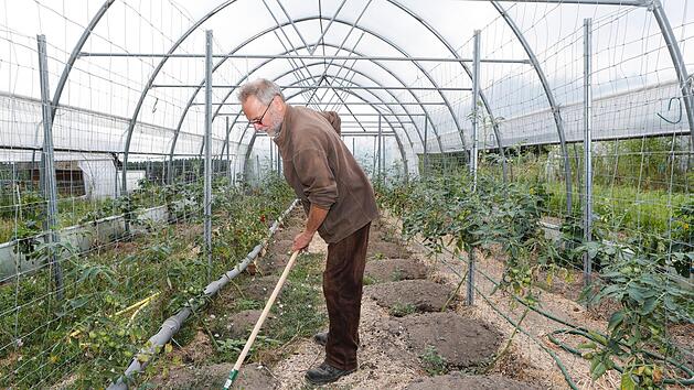 F&uuml;r die Solawi Erlangen baut Gerhard R&uuml;hl Sommergem&uuml;se an. Foto: Matthias Hoch
