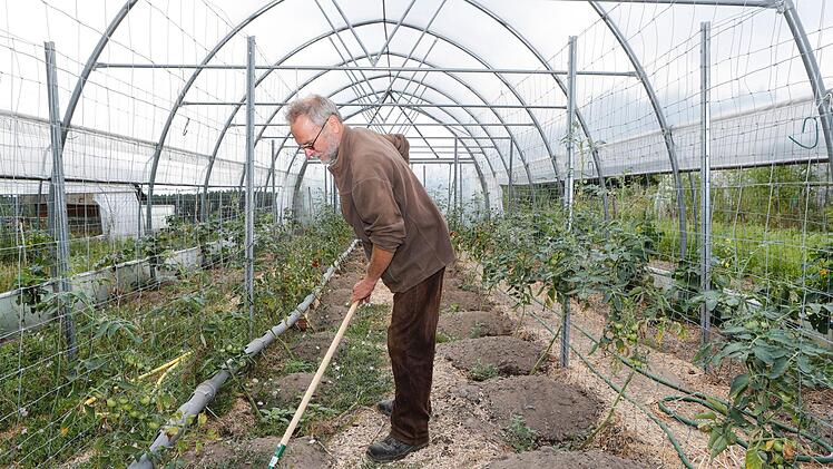 Für die Solawi Erlangen baut Gerhard Rühl Sommergemüse an. Foto: Matthias Hoch