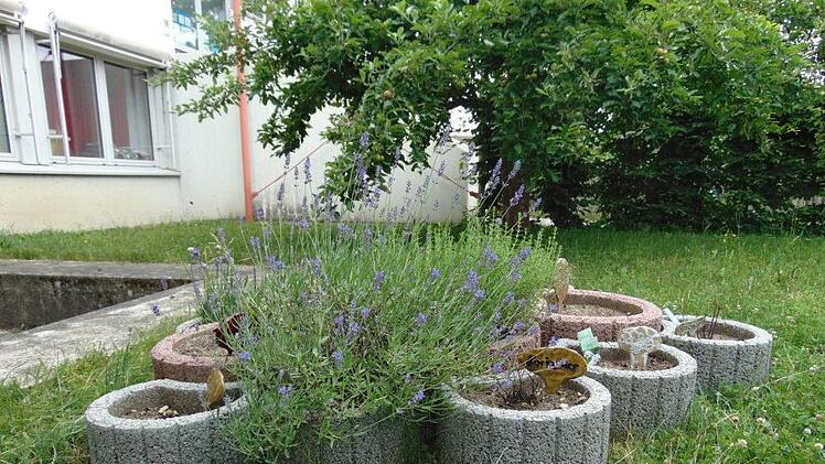 Kräuterbeet Foto: Petra Malbrich