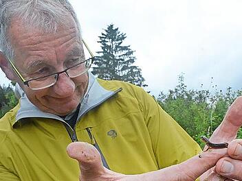 Dietrich F&ouml;rster, hier mit einem Fadenmolch, ist f&uuml;r Naturschutzprojekte beim Frankenwald zust&auml;ndig.