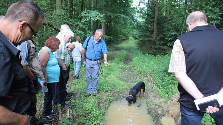 Da schwimmt sie...