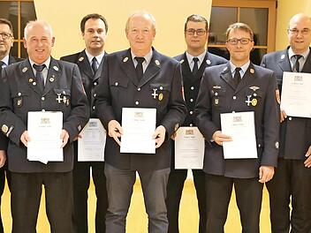 Die Ehrung (v. l.): MdL Thorsten Glauber, KBR Oliver Flake, KBI Johannes Schmitt, Stefan Stöhr, Ulrich Bitter, Albert Mirsberger, Ulrich Wagner, Christian Weiß, Gerald Borsich, KBM Dietmar Willert, Bgm. Reinhard Seeber und Landrat Hermann Ulm  Foto: Franz Galster