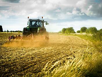 Landwirtschaft