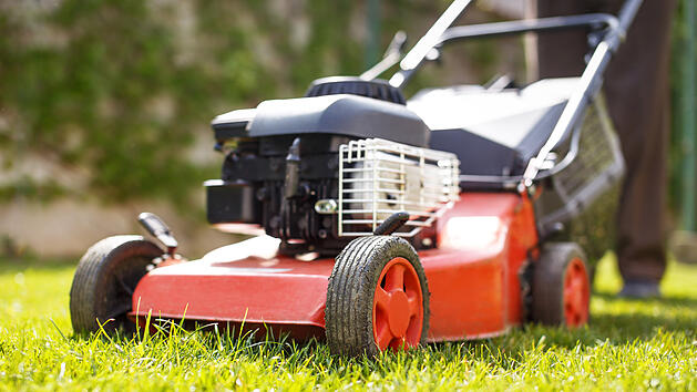 Rasenm&auml;her, Rasen m&auml;hen im Mai, M&auml;hfreier Mai