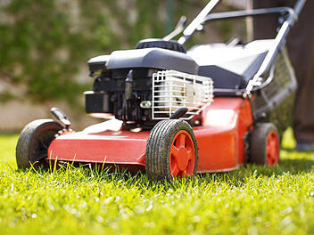 Rasenm&auml;her, Rasen m&auml;hen im Mai, M&auml;hfreier Mai