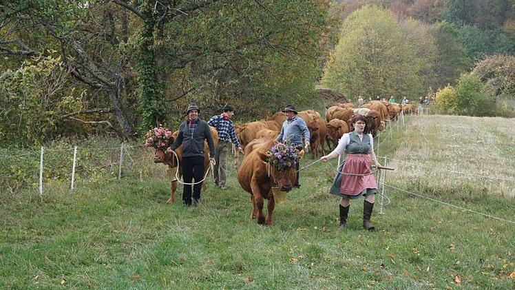 Weideabtrieb in Ginolfs. Foto: Marion Eckert