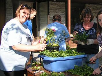 Anna Hack, Doris Reichel und Alexandra Krause (v.l.) schneiden Buchszweige für die Girlanden.  Foto: Amon