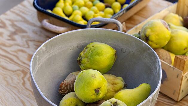 Quitten: Gelb, lecker und gesund!