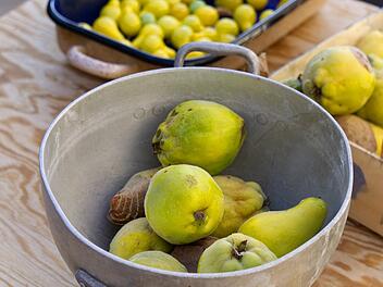 Quitten: Gelb, lecker und gesund!