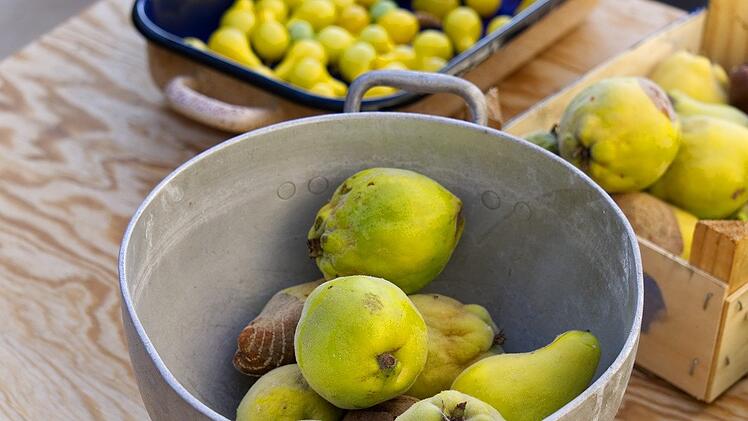 Quitten: Gelb, lecker und gesund!