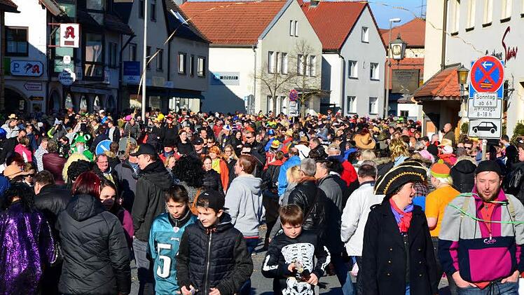 Halb Hirschaid war auf den Beinen beim Faschingsumzug am sonnendurchfluteten Sonntag. Fotos: Andrea Spörlein