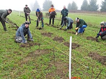Unter Leitung von Referent Hubert Kelle und Projektbeauftragter Michael Büttner (Fünfter und Sechster von links) pflanzten sieben Jungjägerinnen und Jungjäger des aktuellen Ausbildungskurses ehrenamtlich in Nordhalben eine Vogelschutzhecke im Rahmen des "Marktplatzes der biologischen Vielfalt".  Foto: Norbert Neugebauer