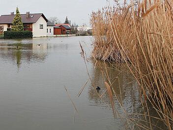 Im Hinblick auf die 1000-Jahr-Feier soll das Stadtsee-Areal verschönert werden. Foto: Klaus Schmitt