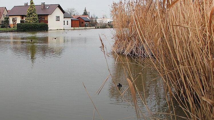 Im Hinblick auf die 1000-Jahr-Feier soll das Stadtsee-Areal verschönert werden. Foto: Klaus Schmitt