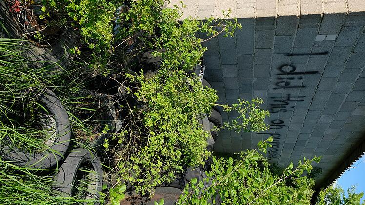 Alte Reifen, Elektrogeräte, Bauschutt, Glasplatten: Überall im ehemaligen Kieswerk findet sich Müll.