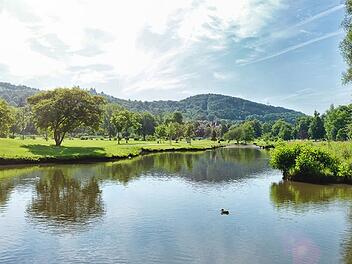 Bad Kissingen: Ob Tour durch Natur oder Altstadt - diese Führungen werden angeboten