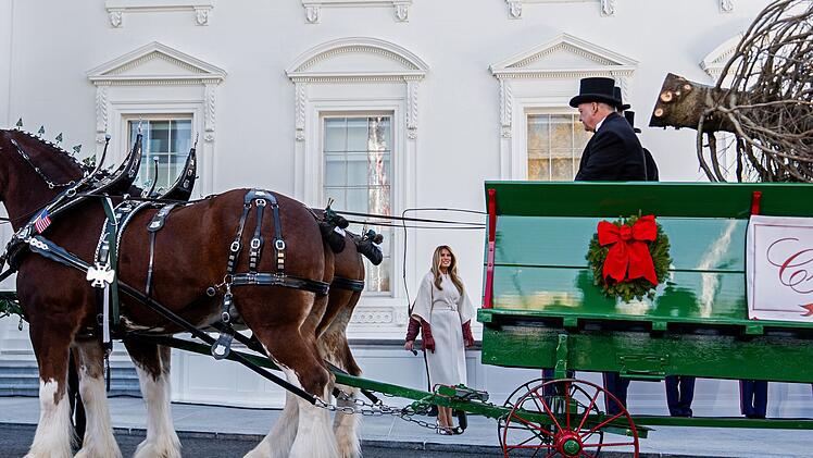 Ankunft des Weihnachtsbaums im Weißen Haus