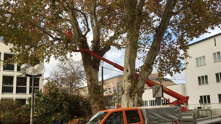 Rund um das Landratsamt. Foto: Ralf Ruppert