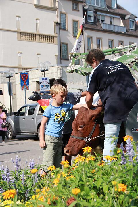 Bad Kissingen: Protest der Milchbauern
