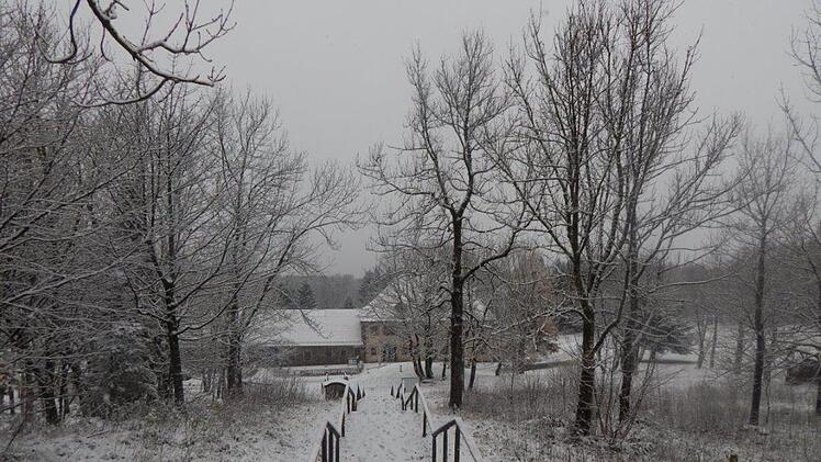 Bilder vom Kreuzberg. Foto: Svea Horn