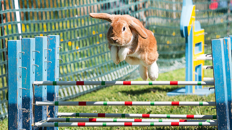 M&ouml;hrchen-Cup 2023