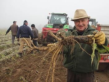 Kren in seiner ganzen Pracht: Gerhard Schmidt präsentiert eine frisch geerntete scharfe Wurzel.  Fotos: Diana Fuchs