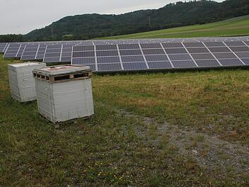 Die Solaranlage an der Bundesstraße kann erweitert werden. Die Untersteinacher Räte gaben grünes Licht für die Firma Südwerk. Außerdem genehmigten sie einen neuen Solarpark in Gumpersdorf. Er wird von der Firma Münch aus Rugendorf realisiert. Foto: Sonny Adam