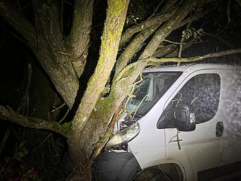 Kreis Coburg: Kleintransporter kracht frontal gegen Baum - Fahrerin (22) hat mächtig Glück