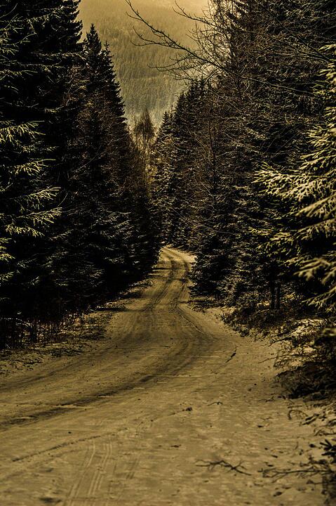 Schnee und Eis - Die schönsten Aufnahmen aus Franken