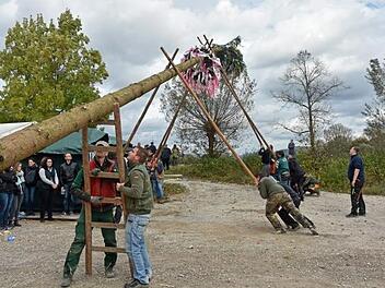 Das Baumaufstellen gehört zur Kerwa dazu wie Musik und gutes Essen.   Fotos: Mathias Erlwein