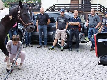 Das kleine schwarze Kästchen am Huf enthält einen hochsensiblen Sensor, der Daten über das Bewegungsverhalten des Pferdes sammelt (Bild oben). - Meike van Heel legte dem fünfjährigen Pointer-Hengst Yakari die Hufmanschetten mit den Sensoren an. Sie senden die Daten an das Tablet (rechts, Bild unten). Fotos: Krause