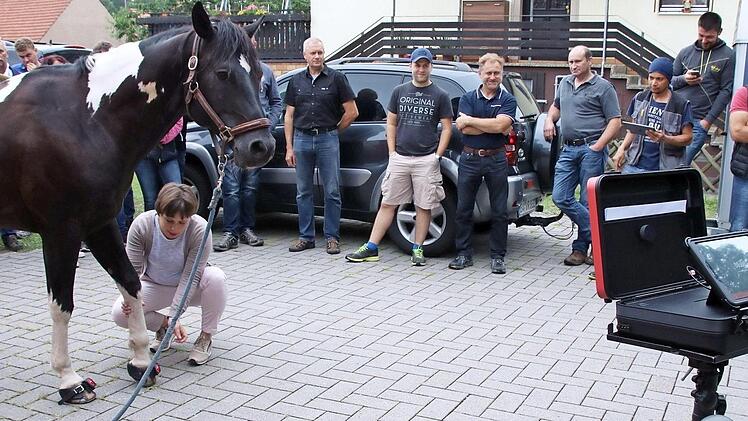 Das kleine schwarze Kästchen am Huf enthält einen hochsensiblen Sensor, der Daten über das Bewegungsverhalten des Pferdes sammelt (Bild oben). - Meike van Heel legte dem fünfjährigen Pointer-Hengst Yakari die Hufmanschetten mit den Sensoren an. Sie senden die Daten an das Tablet (rechts, Bild unten). Fotos: Krause