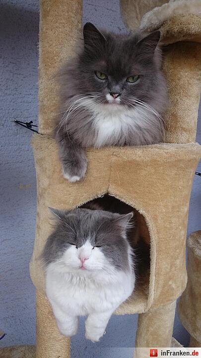 Foto: Sabrina Pfannenmüller