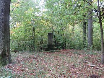 Die K&ouml;nigseichen im Kulmbacher Buchwald.Foto: Erich Olbrich