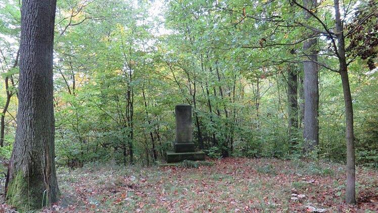 Die K&ouml;nigseichen im Kulmbacher Buchwald.Foto: Erich Olbrich